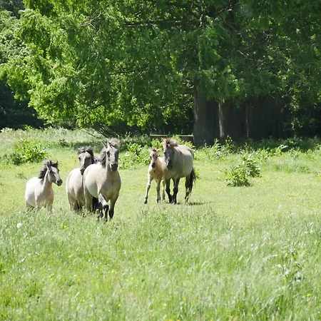 Lägenhet Kaeptn's Koje