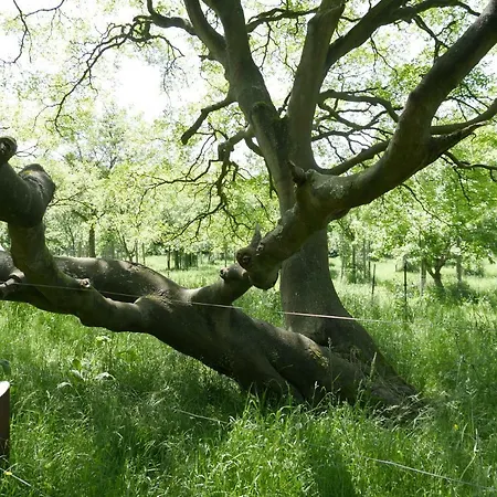 Kaeptn's Koje Lägenhet *