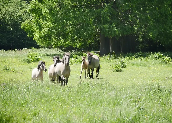 Appartement Kaeptn's Koje