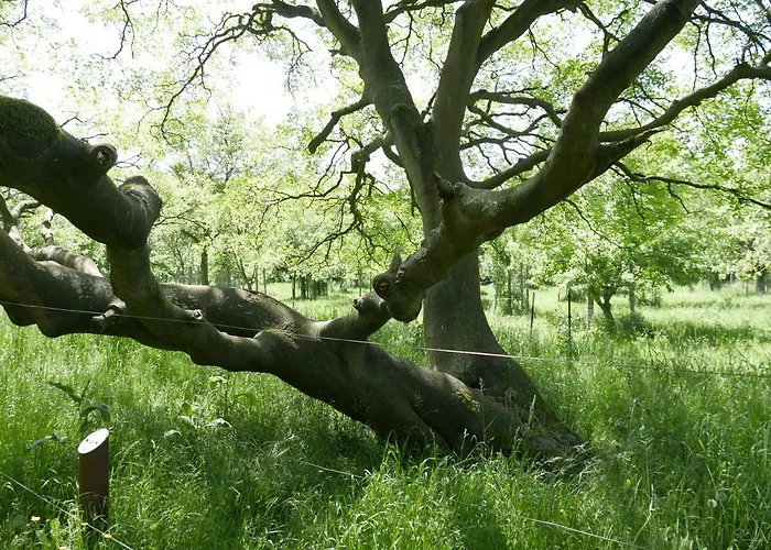 Kaeptn's Koje Appartement *